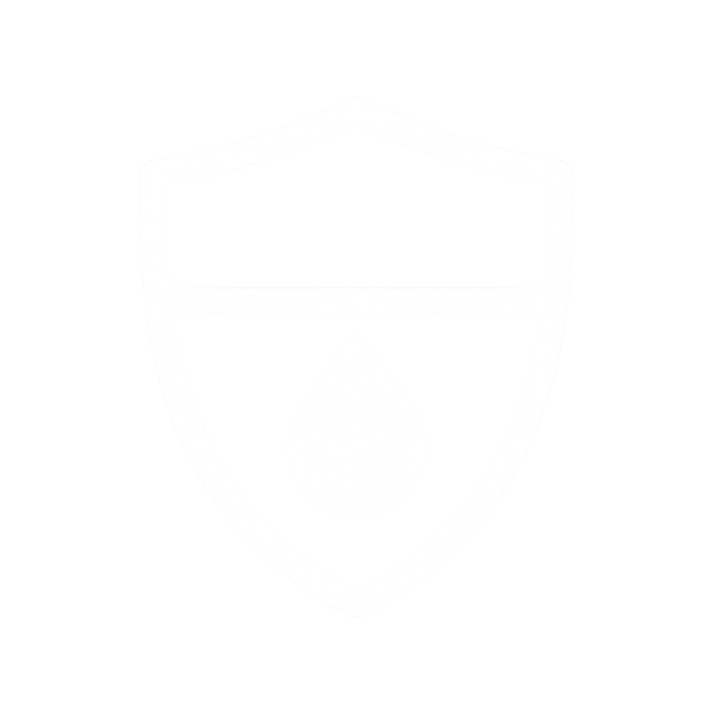 Crawlspace Dry & Safe logo